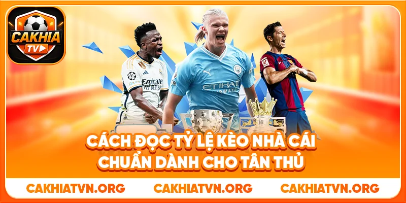 Cách Đọc Tỷ Lệ Kèo Nhà Cái Chuẩn Dành Cho Tân Thủ