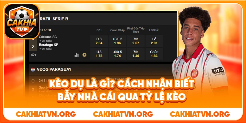 Kèo Dụ Là Gì? Cách Nhận Biết Bẫy Nhà Cái Qua Tỷ Lệ Kèo