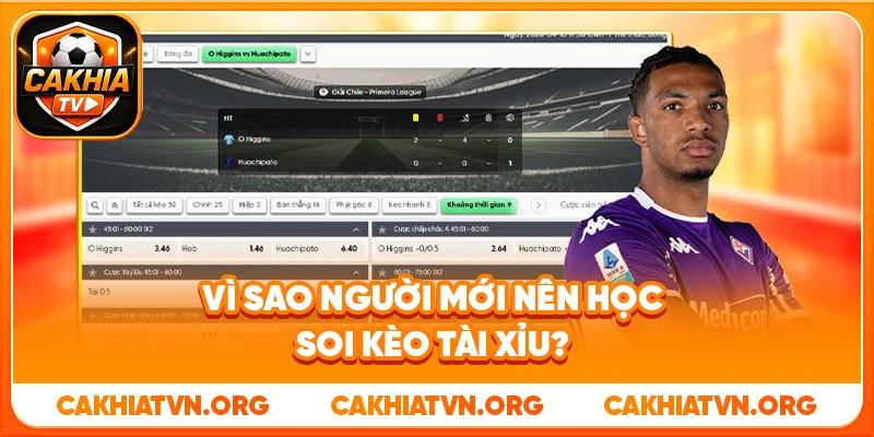 Vì Sao Người Mới Nên Học Soi Kèo Tài Xỉu?